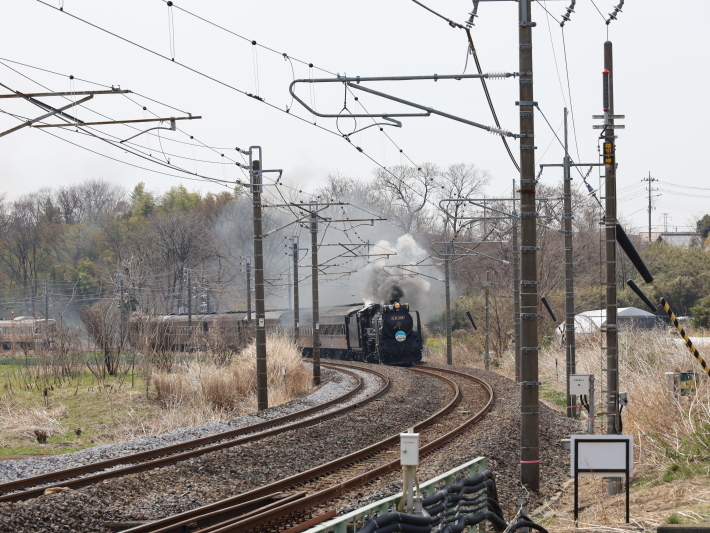 今春最初のSL (2021/3/27撮影)_b0369971_18444075.jpg
