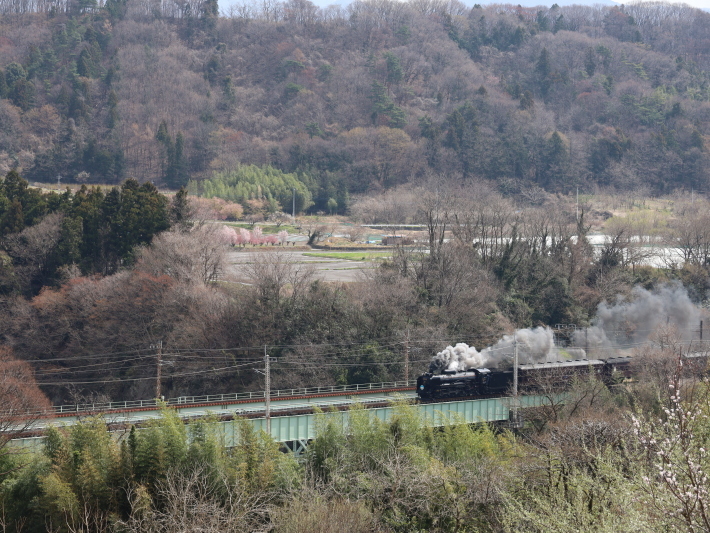 今春最初のSL (2021/3/27撮影)_b0369971_18463618.jpg