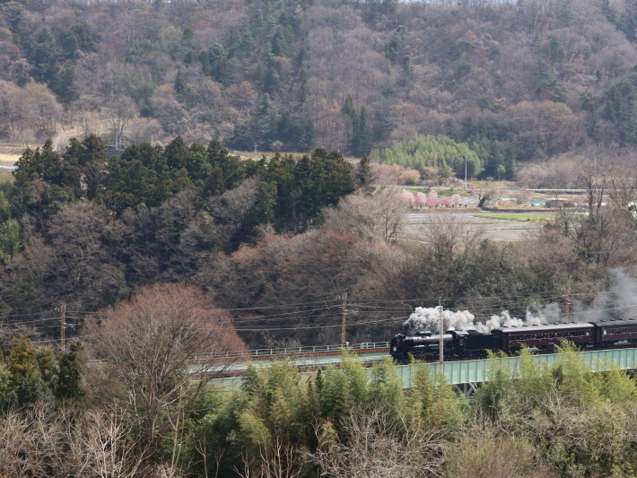 今春最初のSL (2021/3/27撮影)_b0369971_18465692.jpg
