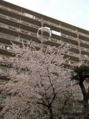 「いわゆる日本」は「なんか、こう……」。_b0141773_15380910.jpg