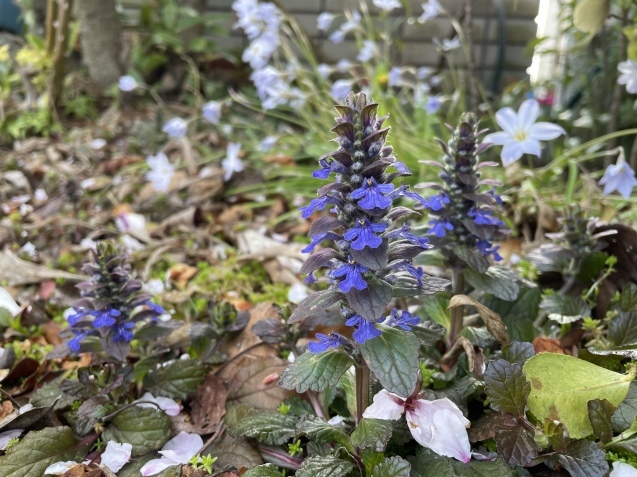 3月31日。_a0394574_14231786.jpeg
