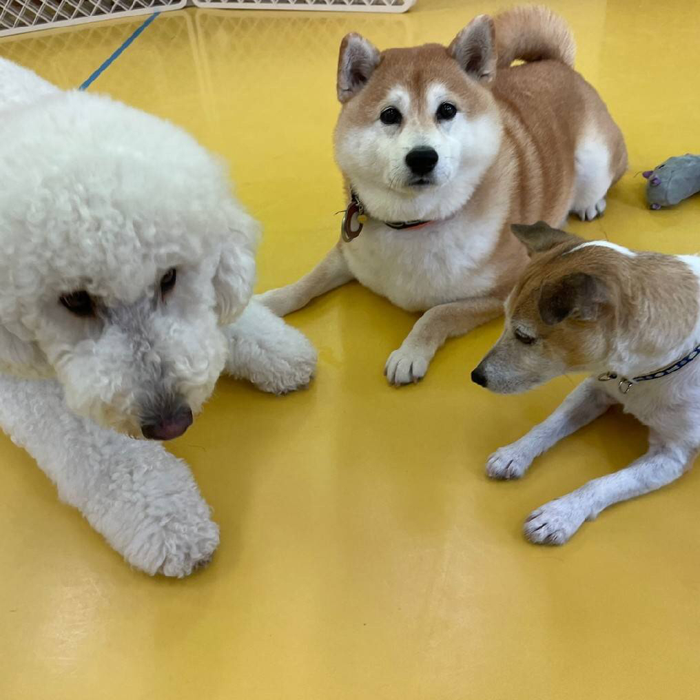 保育園ブログ(*^▽^*)_f0357682_01493545.jpg