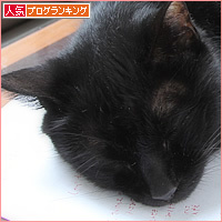 編集猫_a0389088_13222430.jpg