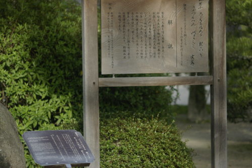 松陰先生の横顔