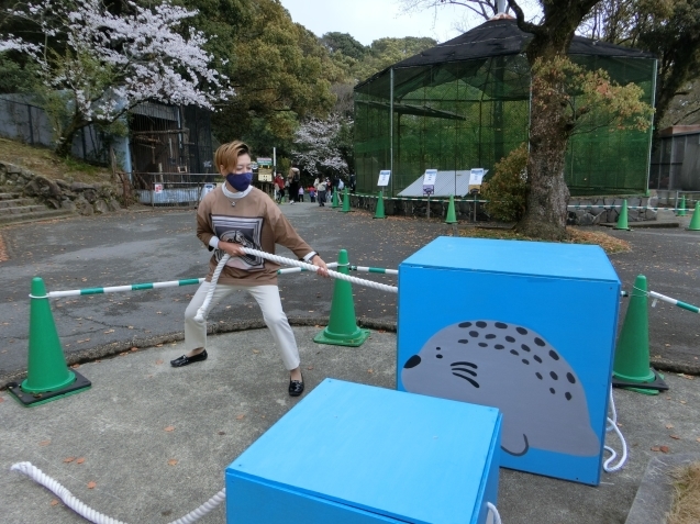 国際アザラシの日スペシャルイベント_c0290504_14455711.jpg