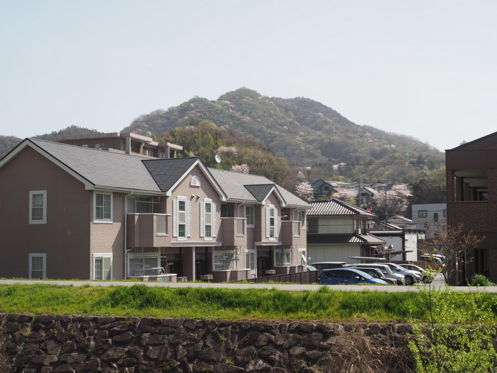 花散歩(石内川と八幡川沿い)_c0116915_00322948.jpg