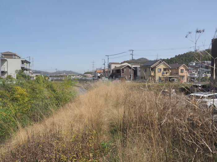 花散歩(石内川と八幡川沿い)_c0116915_00364403.jpg