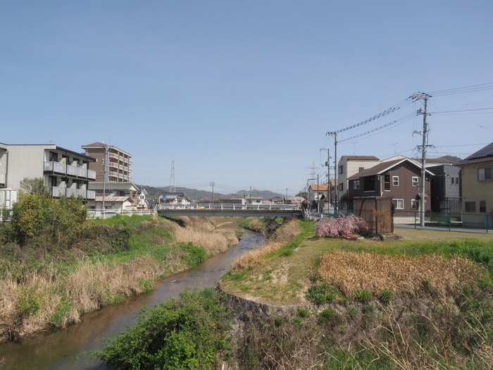 花散歩(石内川と八幡川沿い)_c0116915_00370234.jpg