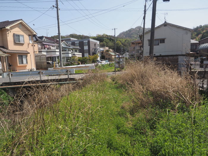 花散歩(石内川と八幡川沿い)_c0116915_00372044.jpg