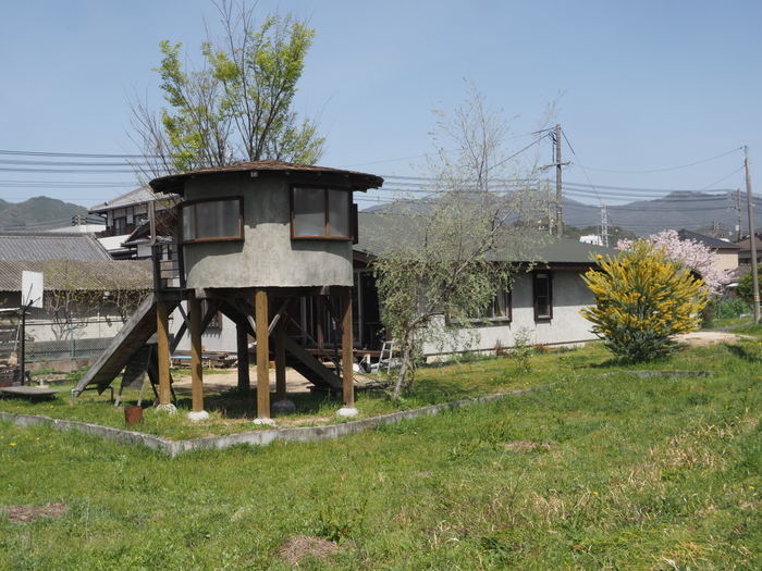 花散歩(石内川と八幡川沿い)_c0116915_00435843.jpg