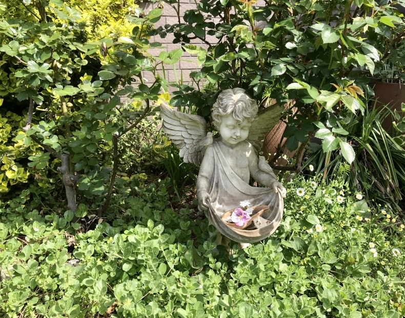 4月の庭とサロンから_d0085018_10385257.jpeg