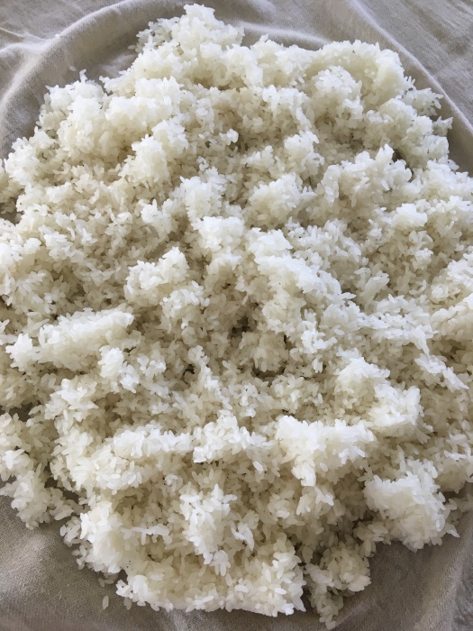 米麹作り_e0155231_19461146.jpeg