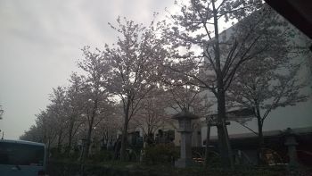 4月がスタートしました_c0146040_21034198.jpg