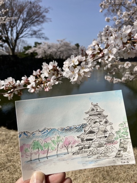 松本城　水彩画　額装 Amazon | 松本城 水彩画 額装 | 絵具 通販