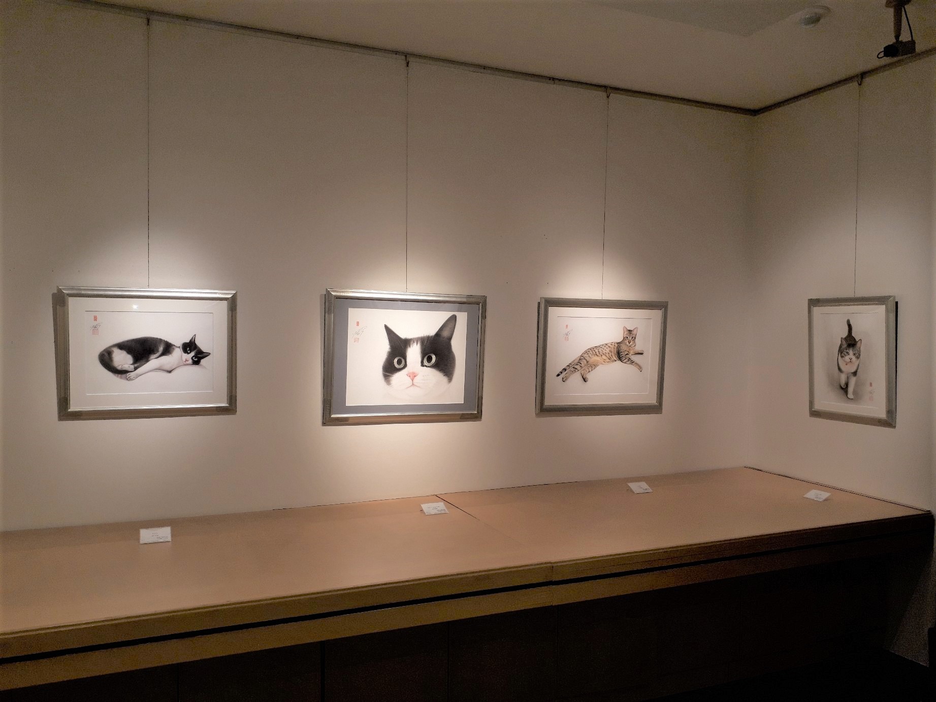 只今開催中の大丸京都店の個展会場の様子を画商さんが送って来てくれました 猫の眼 只今開催中の大丸京都店の個展会場の様子を画商さんが送って来てくれました 猫の眼