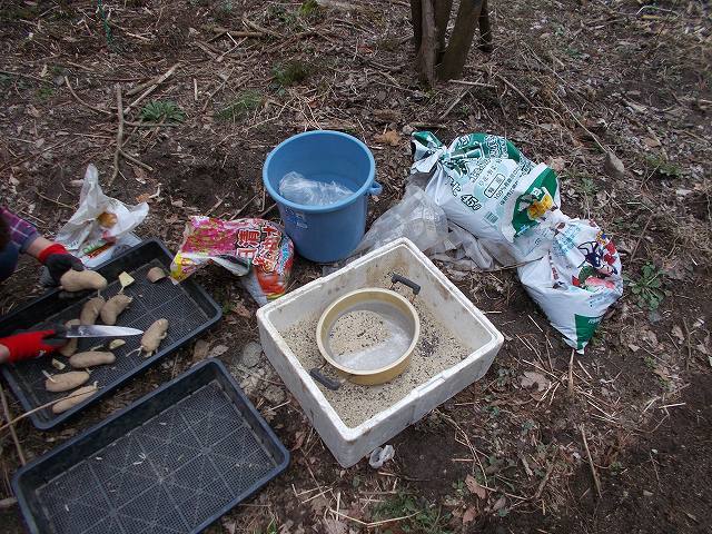 ジャガイモ植え付け_a0118461_17300944.jpg