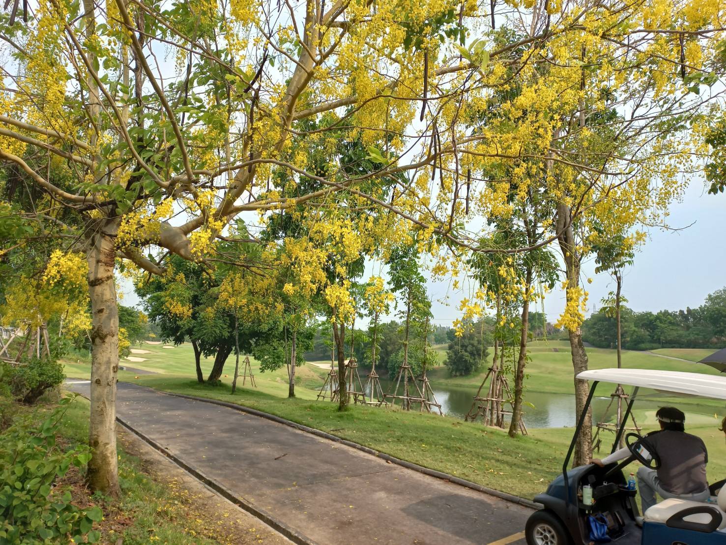 タイ国でゴルフは6人打ち_b0100062_11290082.jpeg