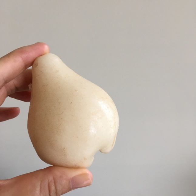 そら様専用❤️ 実たくさん付き！超希少 特大 レンブ取木苗木