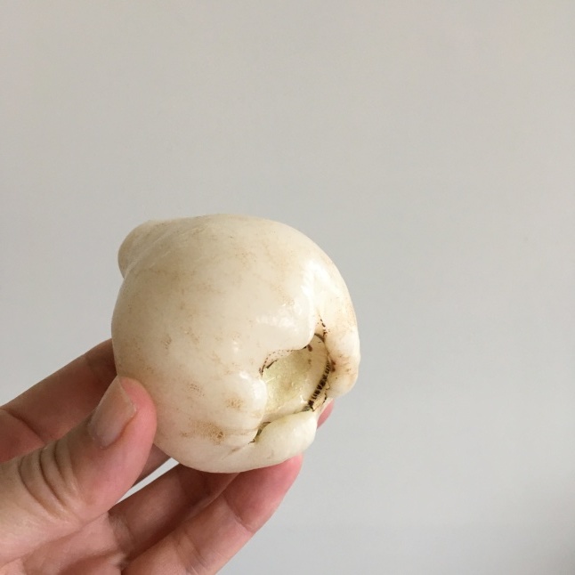 台湾の果物 白いレンブ「白玉蓮霧」 : そこはかノート ー台湾