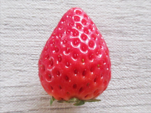 いちごさん(佐賀i9号)_c0152767_19485769.jpg