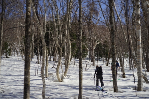 フィールドレポート　雷電山　BC