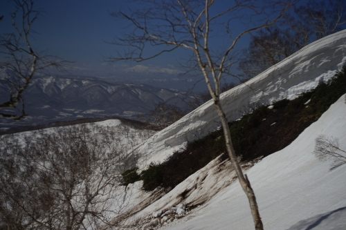 フィールドレポート　雷電山　BC_d0198793_17025906.jpg