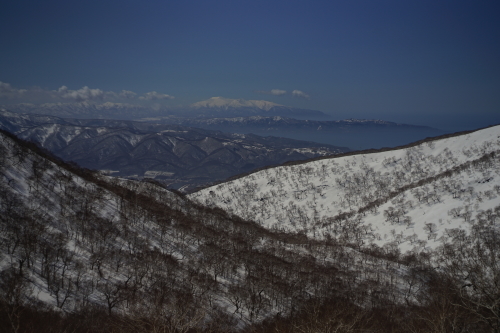 フィールドレポート 雷電山 BC_d0198793_17032812.jpg