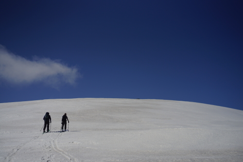 フィールドレポート 雷電山 BC_d0198793_17191373.jpg