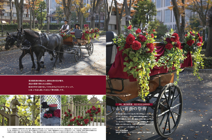 競馬場のローズガーデンのフォトブックのプレゼントに応募してねぇ~♪_b0331802_09015061.jpg