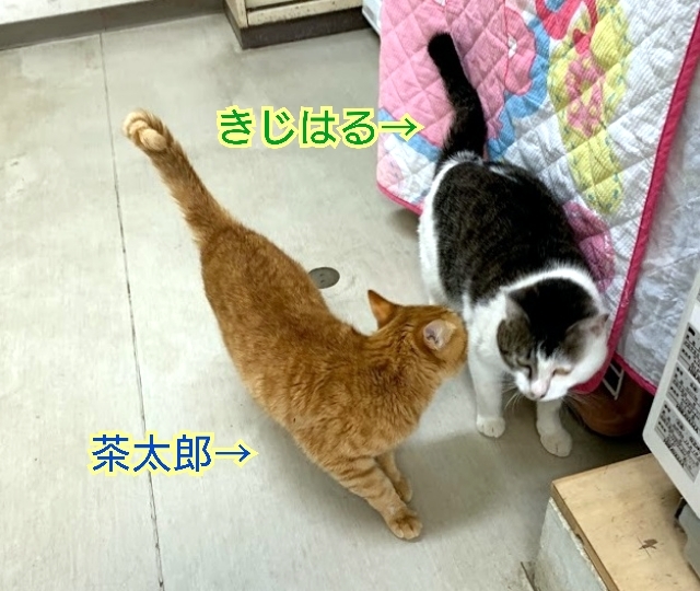 _f0078320_16390946.jpg