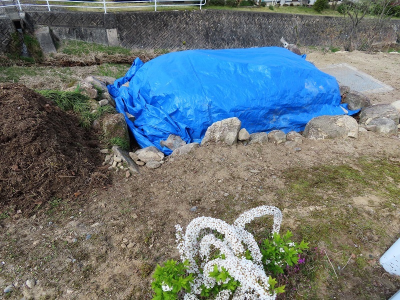 フォルテシモとターコイズグリーン_f0076731_21011185.jpg