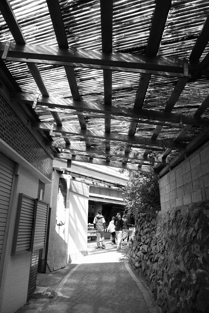 大王崎灯台に到着する!_e0374932_06560506.jpg