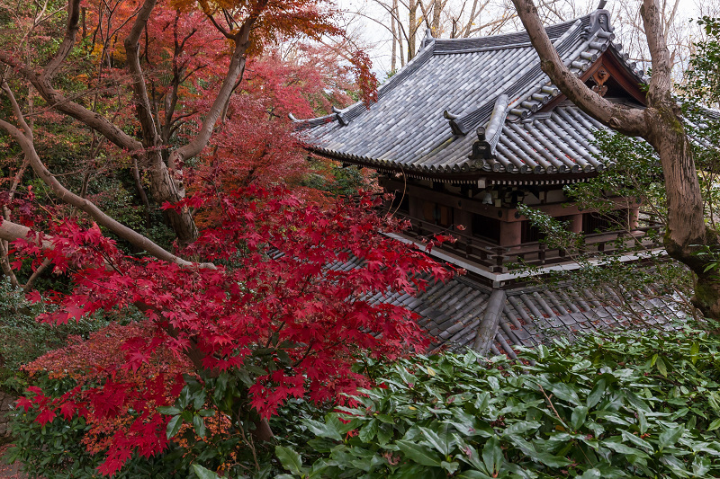 2020紅葉きらめく京都　山崎聖天の輝き_f0155048_22075141.jpg