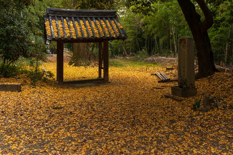 2020紅葉きらめく京都　山崎聖天の輝き_f0155048_22095133.jpg