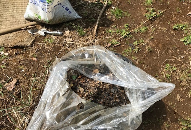小玉スイカの苗と種生姜を植え付け4・1_c0014967_07022855.jpg