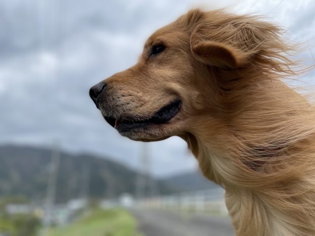 ささやき。_a0394574_21471111.jpeg