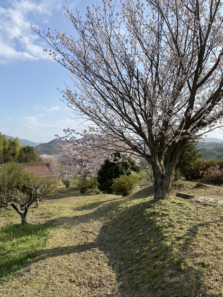 明日の土曜日は10時オープンです。_c0334574_19260772.jpeg