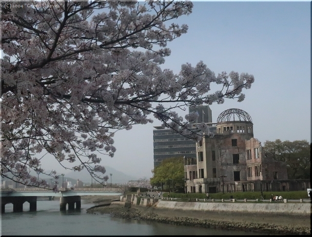 平和記念公園周辺の 桜 Que Sera Sera 平和記念公園周辺の 桜 Que Sera Sera