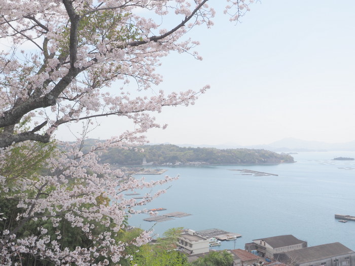 正福寺山公園の桜_c0116915_00553693.jpg