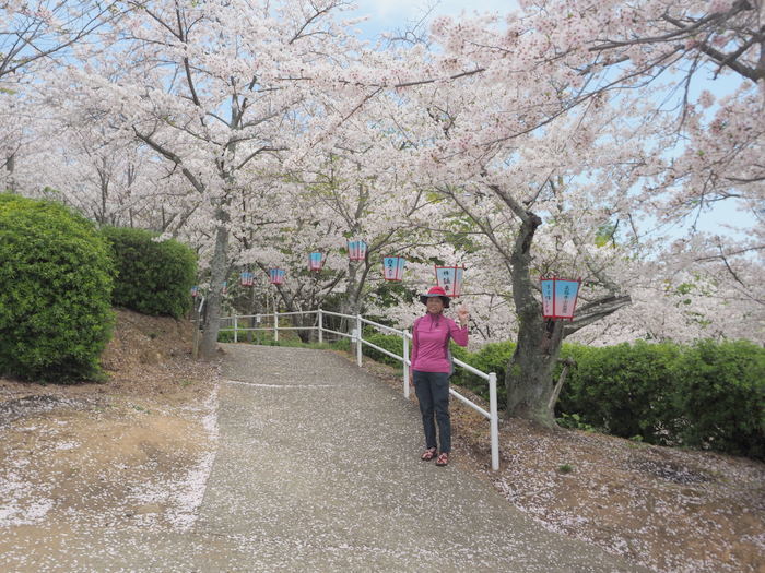 正福寺山公園の桜_c0116915_00561018.jpg
