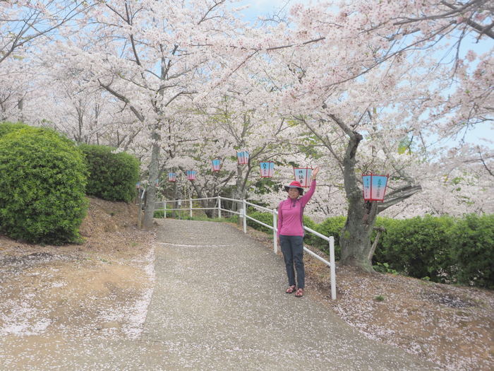 正福寺山公園の桜_c0116915_00562100.jpg