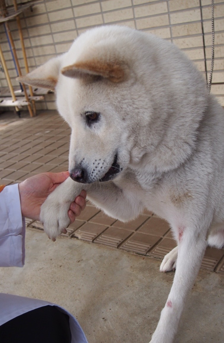_f0078320_20313516.jpeg