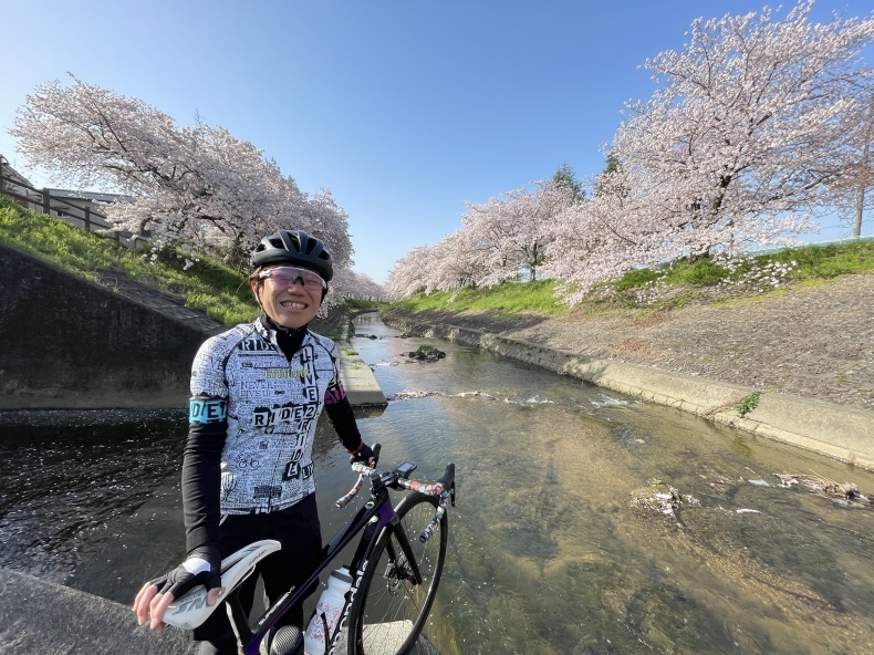 3 31 水 佐保川へ さくらライド きりのロードバイク日記 3 31 水 佐保川へ さくらライド きりのロードバイク日記