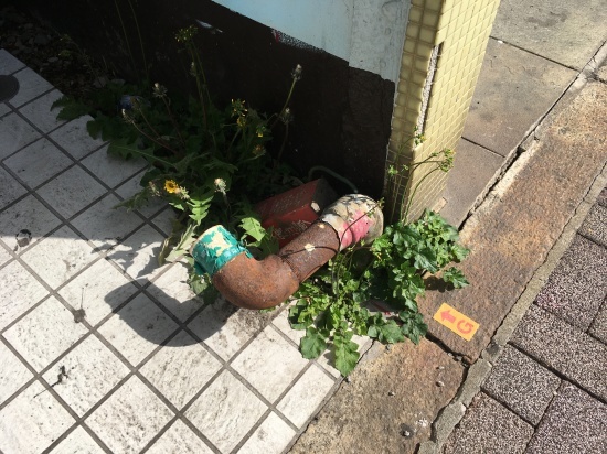 拝啓 ゆりやんレトリィバァさま_f0135625_23384035.jpeg
