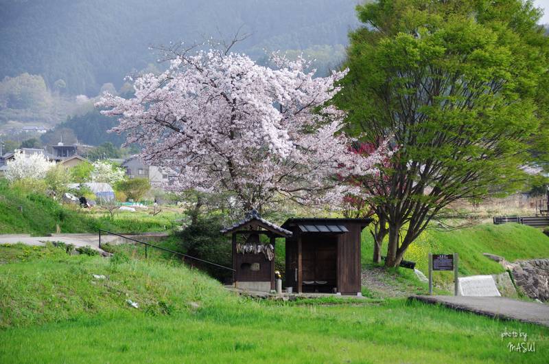 明日香村岡_b0396833_23191313.jpg