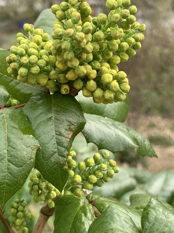 聖金曜日_f0380954_12010526.jpeg