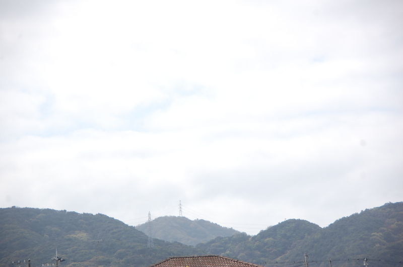 種まきと球根植え付け・・・我が家の花壇_c0108460_16184713.jpg