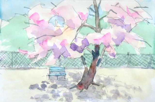 公園の桜_e0269574_04361535.jpg