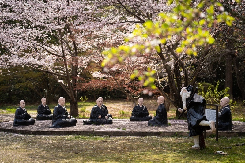 桜舞い散る五色園_d0353489_20492845.jpg