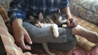 今日のみやこ。ついに鳥取にも。_a0105396_00223086.jpg
